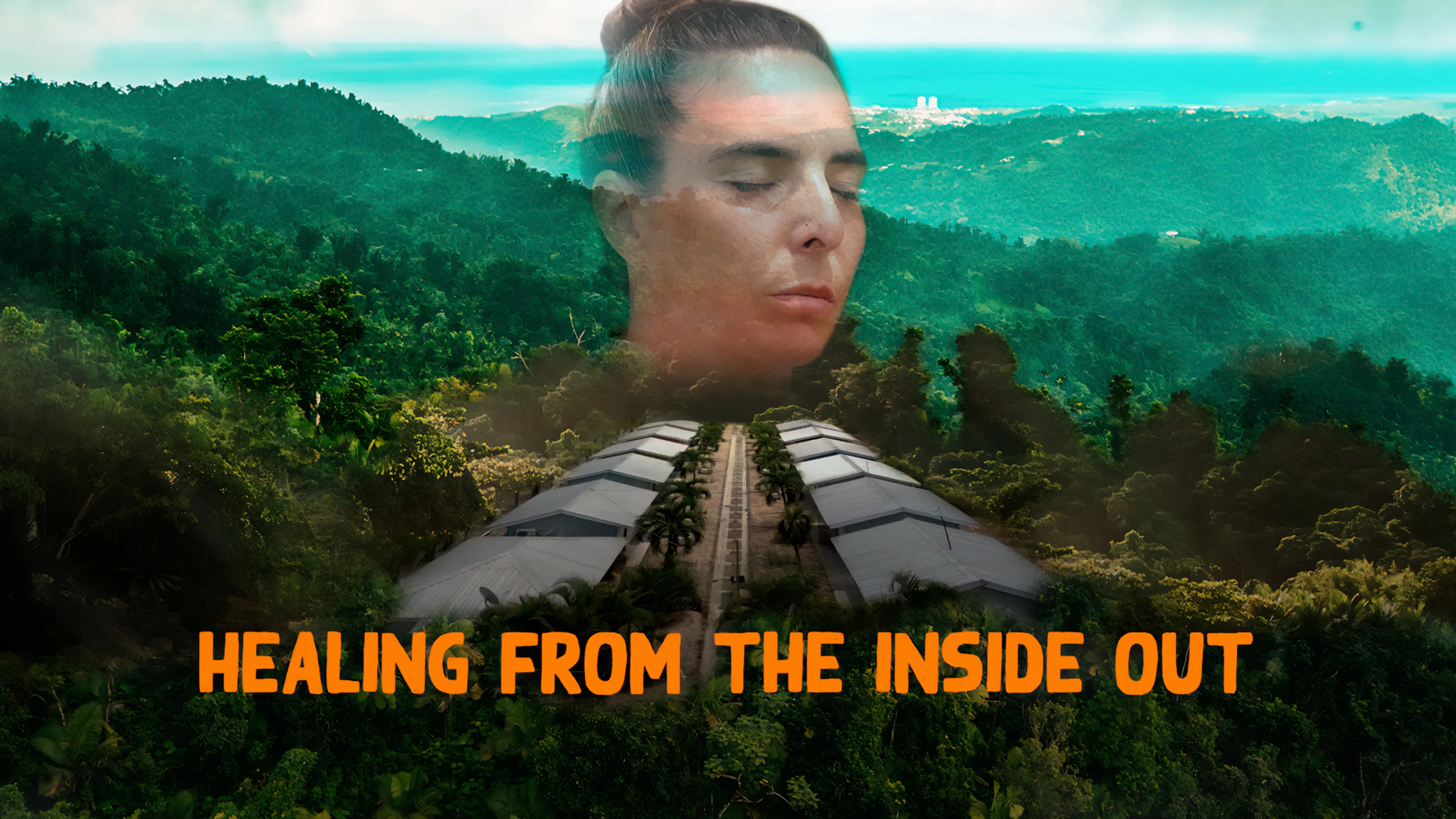 Healing from the inside Out poster